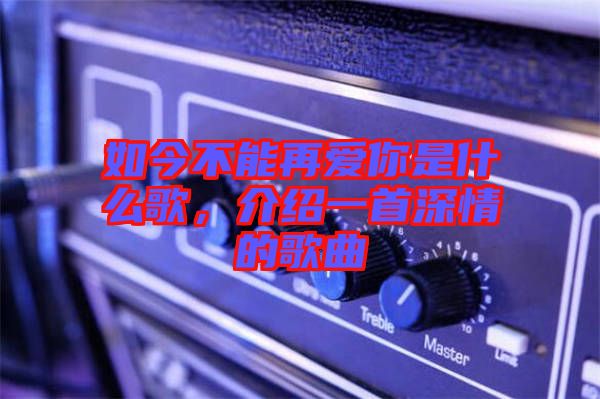 如今不能再愛你是什么歌，介紹一首深情的歌曲