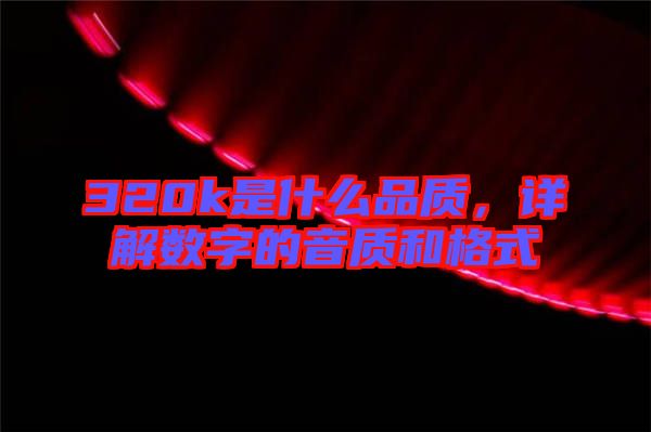320k是什么品質，詳解數(shù)字的音質和格式