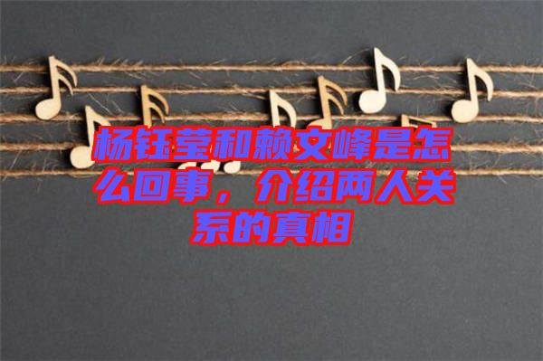 楊鈺瑩和賴文峰是怎么回事，介紹兩人關(guān)系的真相