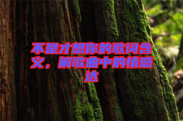 不是才想你的歌詞含義，解歌曲中的情感達(dá)