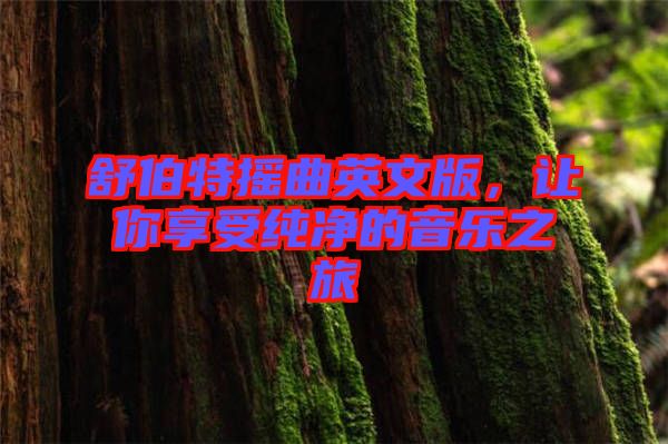 舒伯特?fù)u曲英文版，讓你享受純凈的音樂(lè)之旅