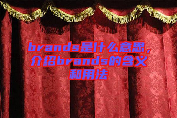 brands是什么意思，介紹brands的含義和用法