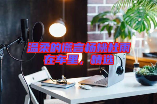 溫柔的謊言楊桃杜雨在車?yán)?，精選