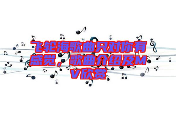 飛輪海歌曲只對你有感覺，歌曲介紹及MV欣賞