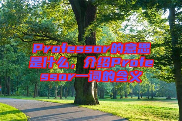 Professor的意思是什么，介紹Professor一詞的含義