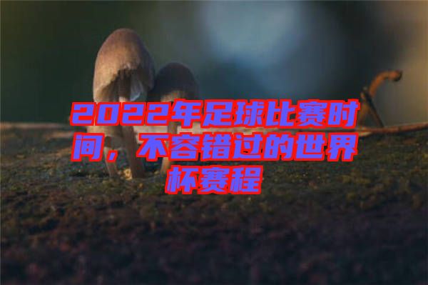 2022年足球比賽時(shí)間，不容錯(cuò)過的世界杯賽程