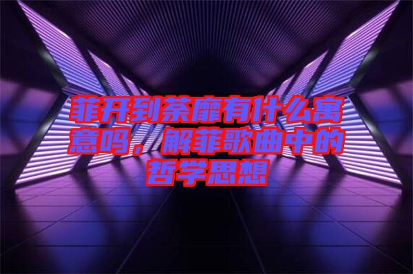 菲開到荼靡有什么寓意嗎，解菲歌曲中的哲學(xué)思想