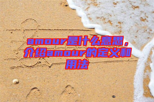 amour是什么意思，介紹amour的定義和用法