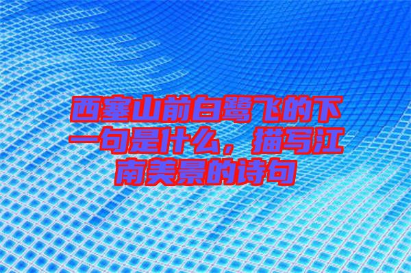 西塞山前白鷺飛的下一句是什么，描寫江南美景的詩(shī)句