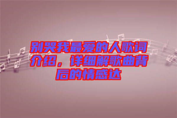 別哭我最愛的人歌詞介紹，詳細(xì)解歌曲背后的情感達