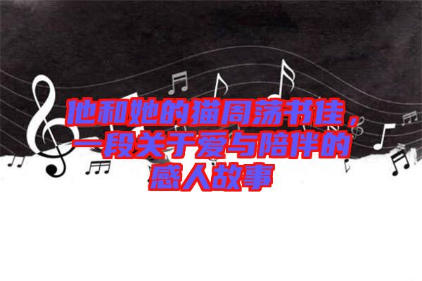 他和她的貓周蕩書佳，一段關(guān)于愛(ài)與陪伴的感人故事