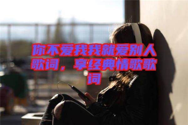 你不愛(ài)我我就愛(ài)別人歌詞，享經(jīng)典情歌歌詞