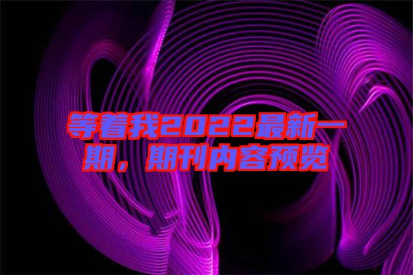 等著我2022最新一期，期刊內(nèi)容預(yù)覽