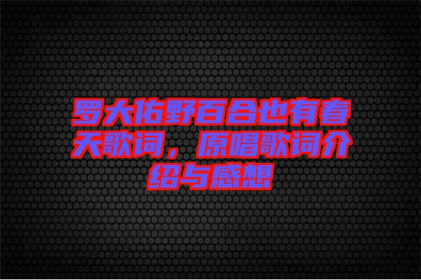 羅大佑野百合也有春天歌詞，原唱歌詞介紹與感想