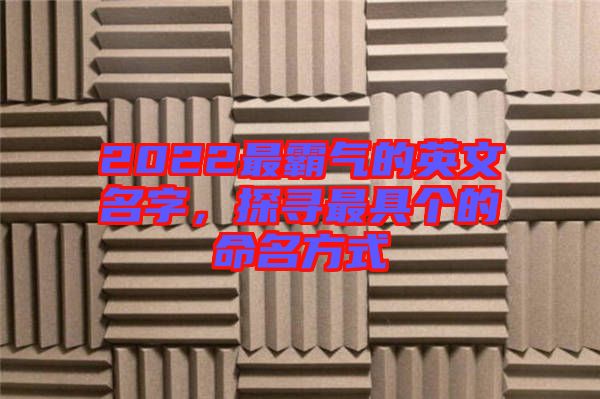 2022最霸氣的英文名字，探尋最具個(gè)的命名方式