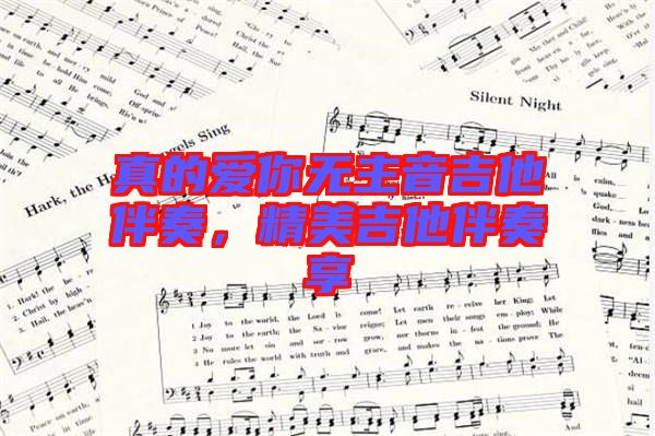 真的愛你無主音吉他伴奏，精美吉他伴奏享
