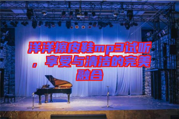 洋洋擦皮鞋mp3試聽(tīng)，享受與清潔的完美融合