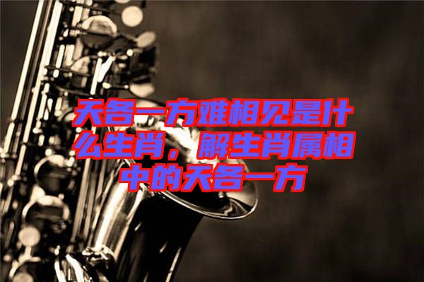 天各一方難相見(jiàn)是什么生肖，解生肖屬相中的天各一方