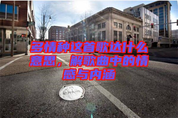 多情種這首歌達(dá)什么意思，解歌曲中的情感與內(nèi)涵