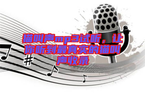 貓叫聲mp3試聽，讓你聽到最真實的貓叫聲收錄