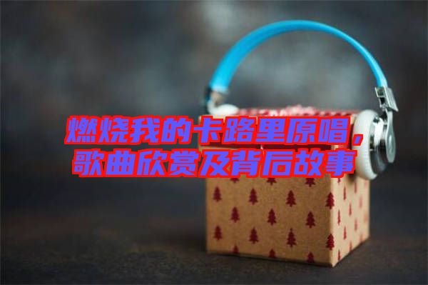 燃燒我的卡路里原唱，歌曲欣賞及背后故事