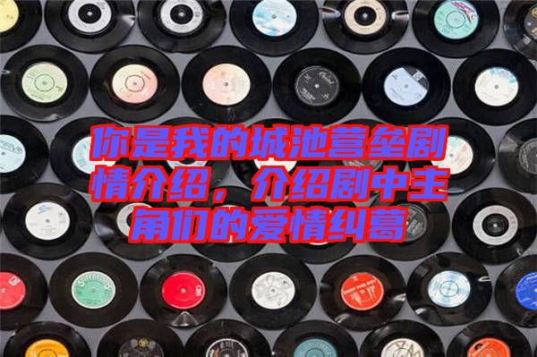 你是我的城池營(yíng)壘劇情介紹，介紹劇中主角們的愛情糾葛
