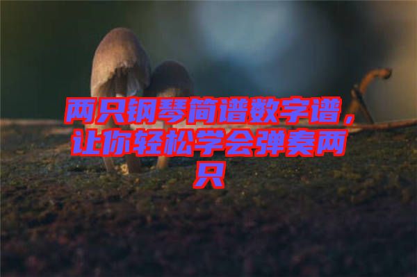 兩只鋼琴簡譜數(shù)字譜，讓你輕松學會彈奏兩只