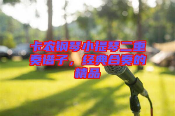 卡農(nóng)鋼琴小提琴二重奏譜子，經(jīng)典合奏的精品