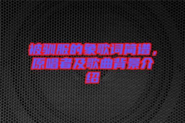 被馴服的象歌詞簡譜，原唱者及歌曲背景介紹