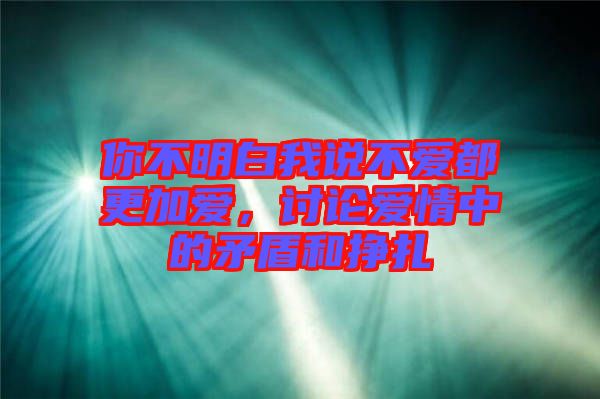 你不明白我說不愛都更加愛，討論愛情中的矛盾和掙扎