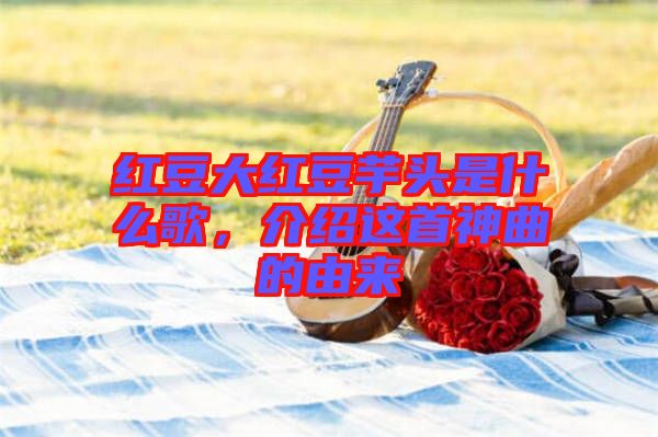 紅豆大紅豆芋頭是什么歌，介紹這首神曲的由來(lái)
