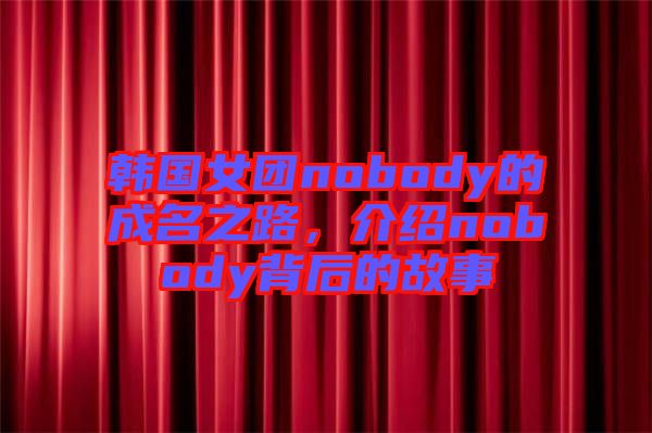 韓國女團(tuán)nobody的成名之路，介紹nobody背后的故事