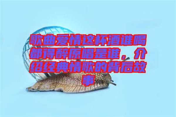 歌曲愛情這杯酒誰喝都得醉原唱是誰，介紹經典情歌的背后故事