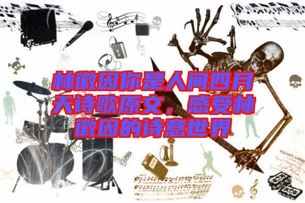 林徽因你是人間四月天詩歌原文，感受林徽因的詩意世界