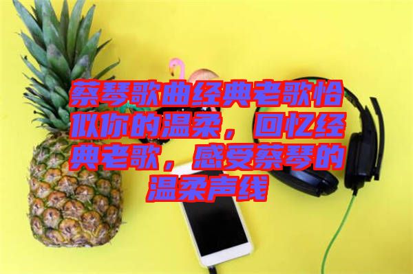 蔡琴歌曲經(jīng)典老歌恰似你的溫柔，回憶經(jīng)典老歌，感受蔡琴的溫柔聲線
