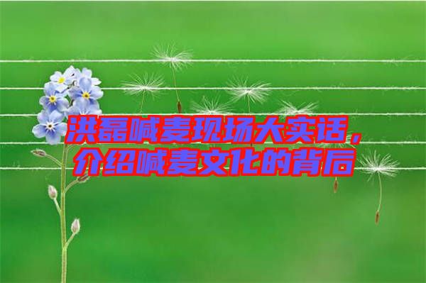 洪磊喊麥現(xiàn)場大實(shí)話，介紹喊麥文化的背后
