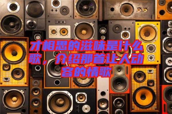 才相思的滋味是什么歌，介紹那首讓人動容的情歌