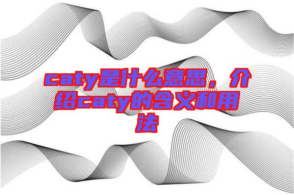 caty是什么意思，介紹caty的含義和用法