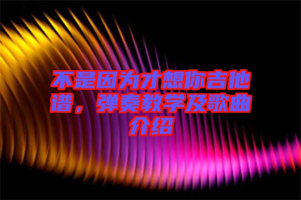 不是因?yàn)椴畔肽慵V，彈奏教學(xué)及歌曲介紹
