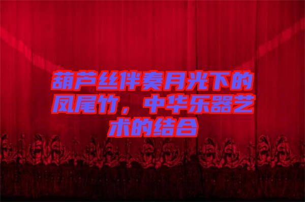 葫蘆絲伴奏月光下的鳳尾竹，中華樂器藝術的結(jié)合