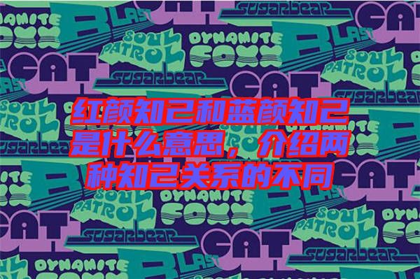 紅顏知己和藍(lán)顏知己是什么意思，介紹兩種知己關(guān)系的不同