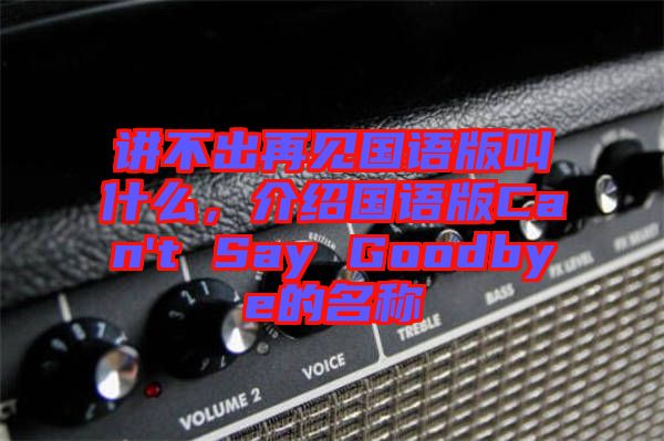 講不出再見國語版叫什么，介紹國語版Can't Say Goodbye的名稱