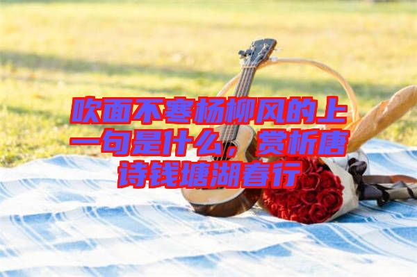 吹面不寒楊柳風(fēng)的上一句是什么，賞析唐詩錢塘湖春行