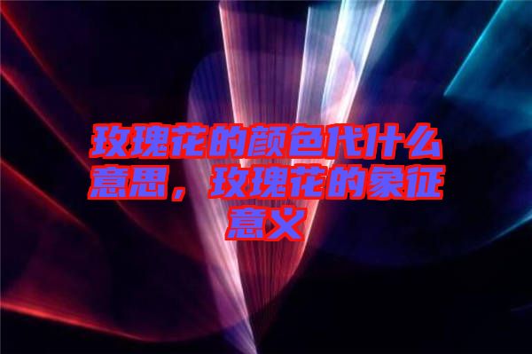 玫瑰花的顏色代什么意思，玫瑰花的象征意義