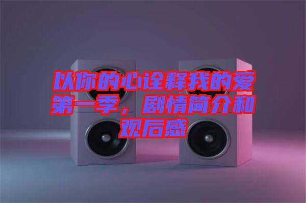 以你的心詮釋我的愛第一季，劇情簡介和觀后感