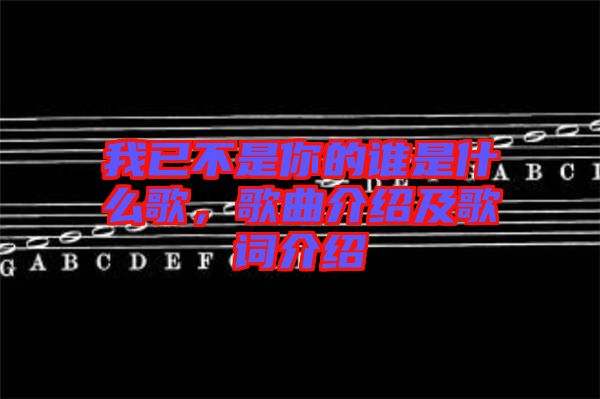 我已不是你的誰(shuí)是什么歌，歌曲介紹及歌詞介紹