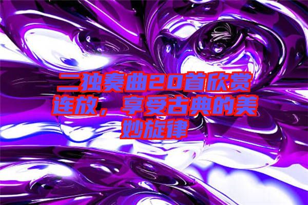 二獨(dú)奏曲20首欣賞連放，享受古典的美妙旋律