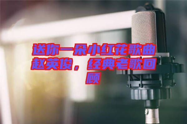 送你一朵小紅花歌曲趙英俊，經(jīng)典老歌回顧