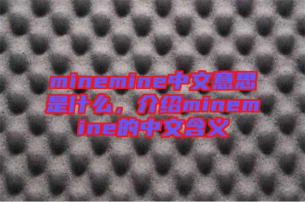 minemine中文意思是什么，介紹minemine的中文含義