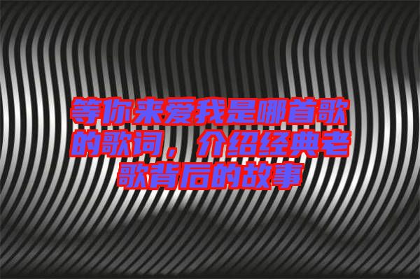 等你來愛我是哪首歌的歌詞，介紹經典老歌背后的故事